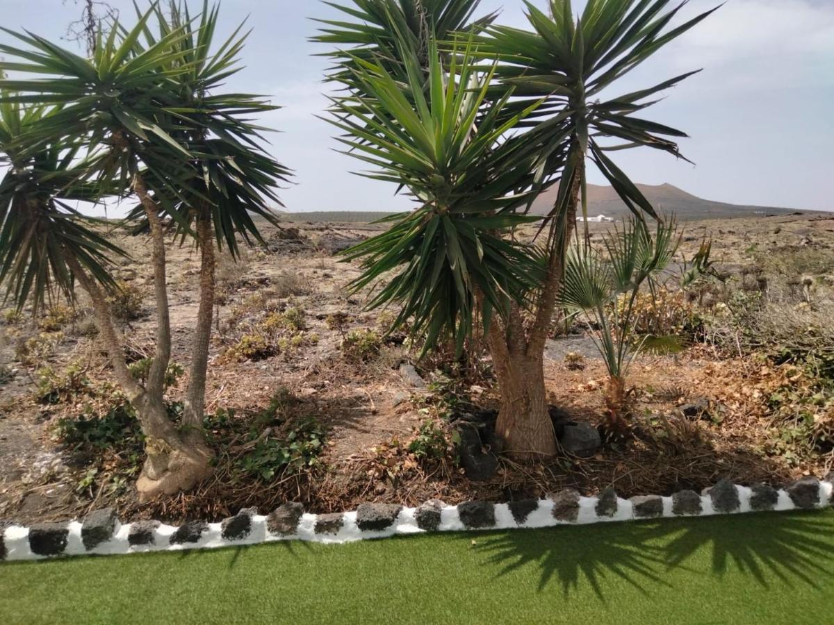 Lanzarote Casa Volcanica-Anclada Sobre La Lava Del Volcan Montana Blanca Kültér fotó